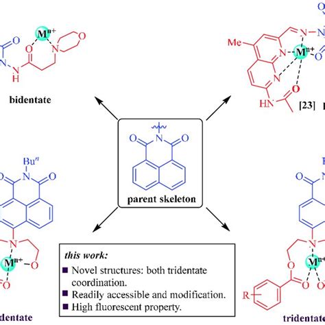 Scheme Design Of The Novel Naphthalimide Based Chemosensors