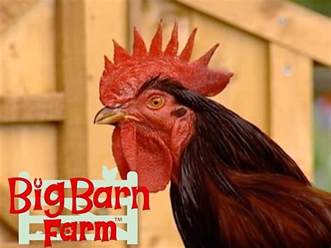 Watch Big Barn Farm | Prime Video