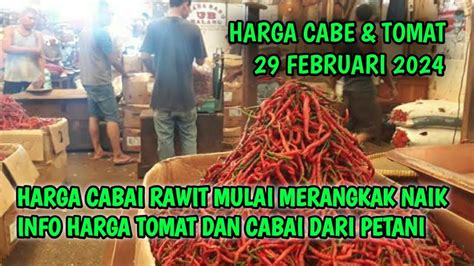 Harga Cabai Hari Ini 29 Februari 2024 Info Harga Cabe Rawit Hari Ini