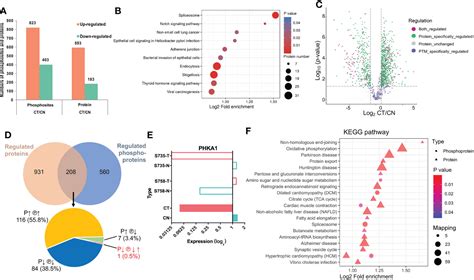 Frontiers Proteomics And Phosphoproteomics Of Chordoma Biopsies