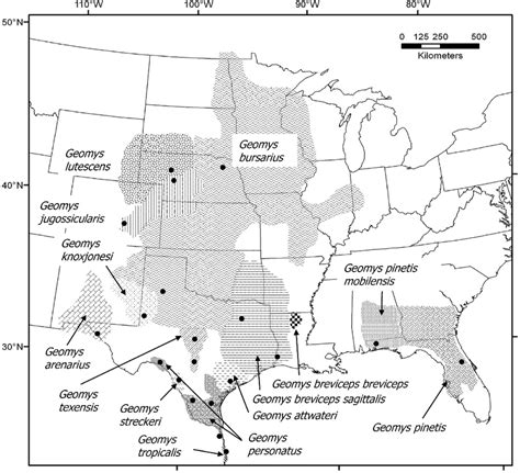 Map Of Pocket Gopher Distributions