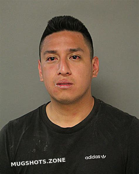 Alex D Cajilema Chicago Mugshots Zone