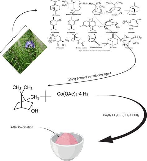 Schematics Of The Proposed Mechanism For Nanoparticle Synthesis