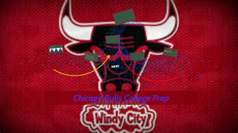 Chicago Bulls College Prep by Phoenix Agyepong