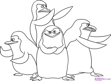 Draw of penguins! XD - Penguins of Madagascar Fan Art (23311324) - Fanpop