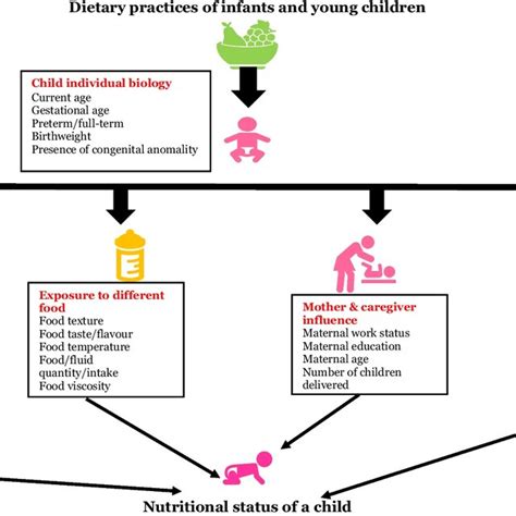 Conceptual Framework Describing The Relationship Of Dietary Practices