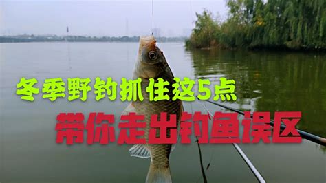 冬季钓鱼拉饵闹小鱼搓饵没口如何改变分享5个简单好用的技巧 体育 钓鱼 好看视频