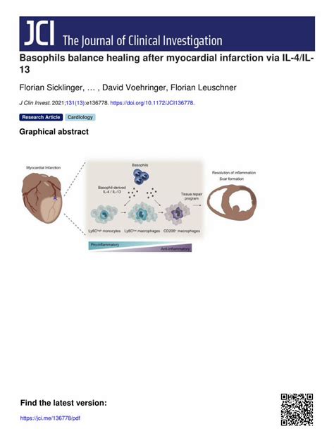 Pdf Basophils Balance Healing After Myocardial Infarction Via