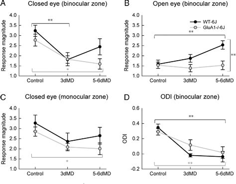 Figure From The Role Of Glua In Ocular Dominance Plasticity In The