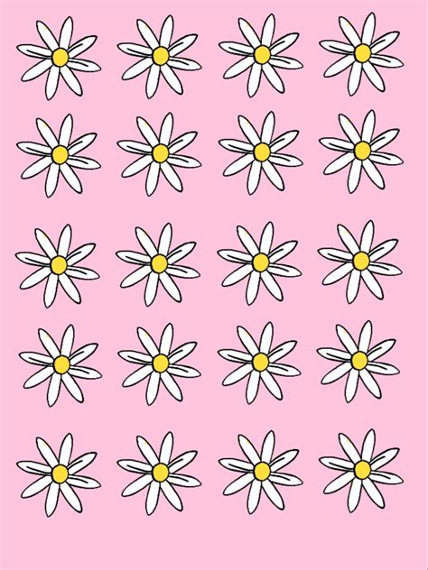 Pink Daisy Wallpaper Pink Daisy Wallpaper Daisy Wallpaper Pink Daisy