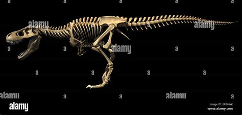 T Rex Dinosaur Photo Realistic And Scientifically Correct Full