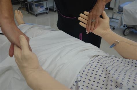 Head To Toe Assessment Clinical Procedures For Safer Patient Care