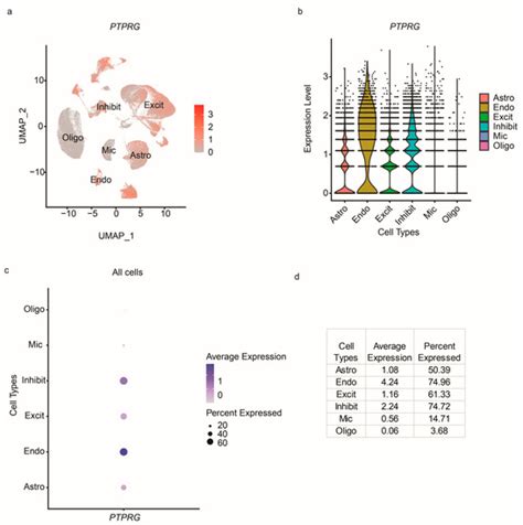 Cells Free Full Text ScViewer An Interactive Single Cell Gene