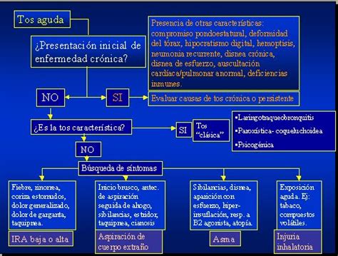 Tos Y Antitusivos I Fisiolog A Y Cl Nica De La Tos Medwave