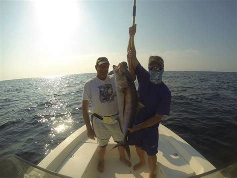 Greater Amberjack Florida Sportsman