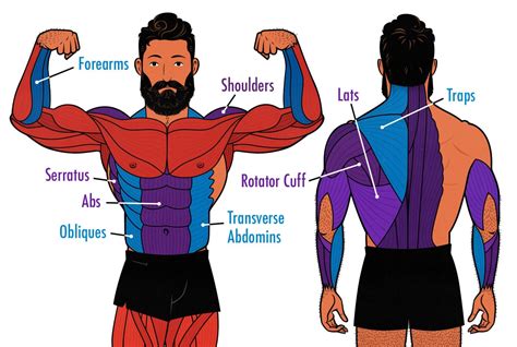 farmer carry benefits workout