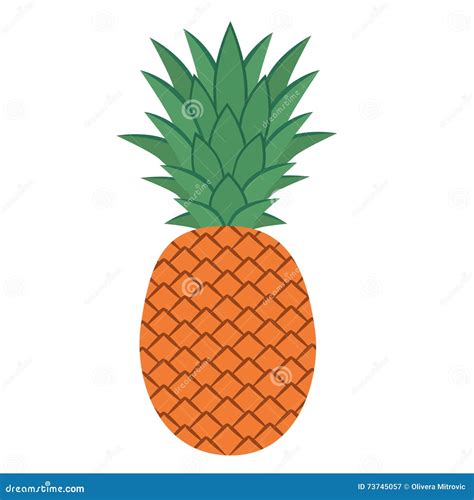 Pineapple With Leaves Stock Vector Illustration Of Exotic 73745057