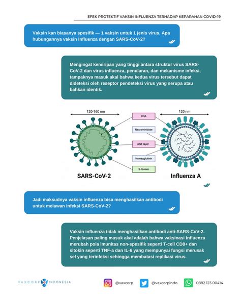 Vaxcorp Indonesia On Twitter Beberapa Riset Terkini Menunjukkan