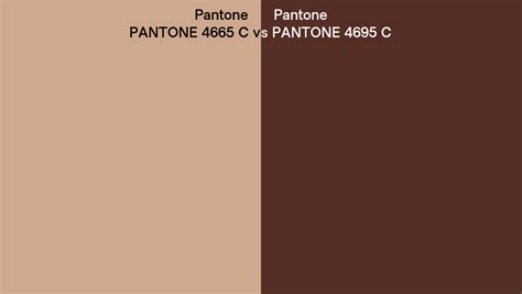 Pantone 4665 C Vs Pantone 4695 C Side By Side Comparison