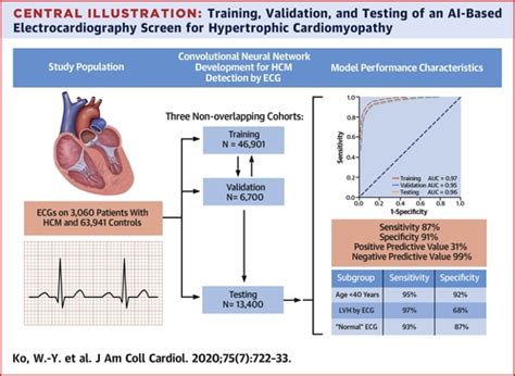 Detection Of Hypertrophic Cardiomyopathy Using A Convolutional Neural