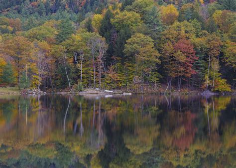 Fall colors stock photo. Image of beautiful, foliage - 36149770