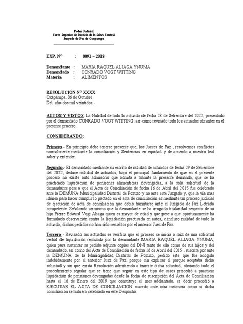 Proyecto Nulidad De Actuados Pdf Demanda Judicial Anulación