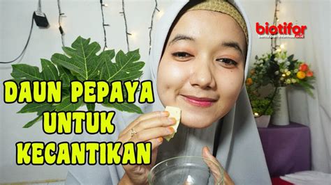 9 Manfaat Daun Pepaya Muda untuk Wajah, Dapatkan Kulit Cerah & Bebas ...