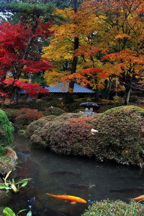 Autumn leaves in Nikko by NaoNao987 on DeviantArt