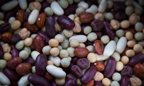 Flageolets Lentilles Haricots Rouges Les Vertus Des Légumineuses