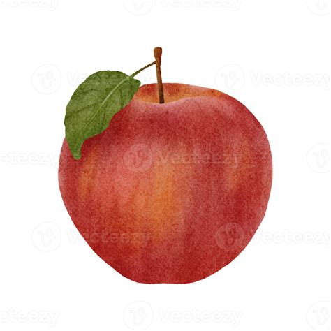 Clipart De Manzana Acuarela 16536680 PNG