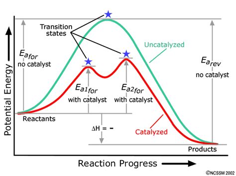 Reaction Energy Diagram For A Catalyzed And An Uncatalyzed P