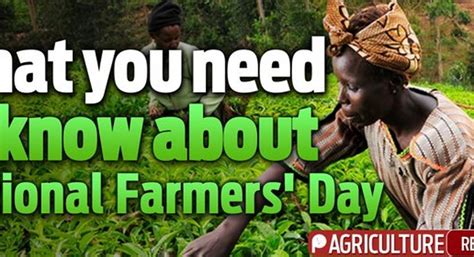 What You Need To Know About National Farmers Day Pulse Ghana