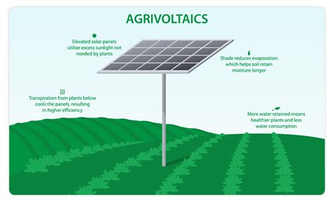 Agrivoltaics Farming And Solar Power Generation