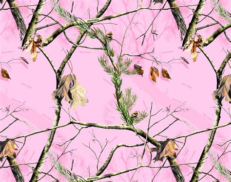 Pink Camo Wallpapers Top Free Pink Camo Backgrounds Wallpaperaccess