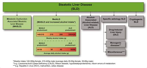 Big News In The Field Of Hepatology In Jurgen Ludwig And His