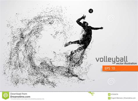 Schattenbild Des Volleyballspielers Vektor Abbildung Illustration Von