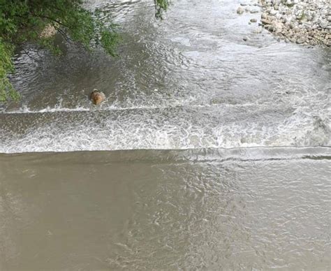 Allerta In Abruzzo Cinque Fiumi Sopra La Soglia Di Allarme Il Capoluogo