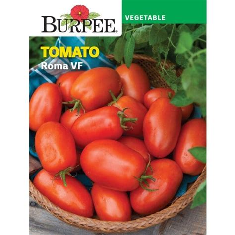 Tomato Roma Vf Burpee Pahls Market Apple Valley Mn