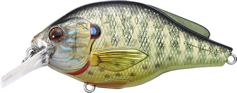 Amazon Live Target Pumpkinseed Flat Side Squarebill Metallic