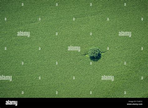 Vistas Aereas Campo Fotografías E Imágenes De Alta Resolución Alamy