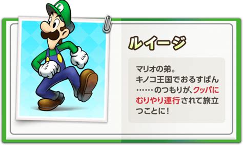 File M LSS BM Japanese Character Bio Luigi Png Super Mario Wiki