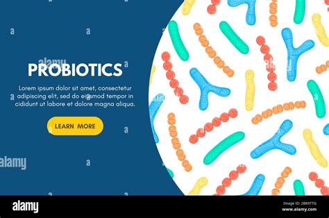 Vector Background With Probiotics Bifidobacterium Lactobacillus