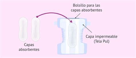 Cu Ntos Tipos De Pa Ales Existen Y Cu L Es Mejor Para El Beb