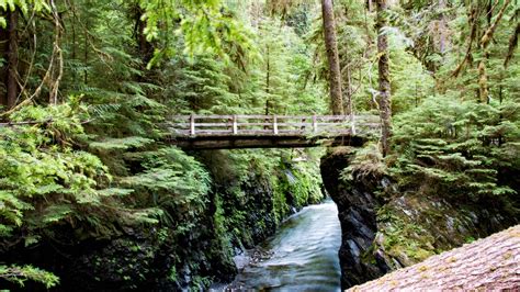 Olympic National Park Weather And Climate Snow Conditions Best