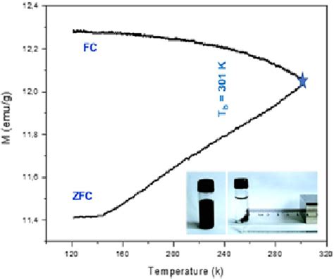 Zerofieldcooled Zfc And Fieldcooled Fc Magnetization Curves Of