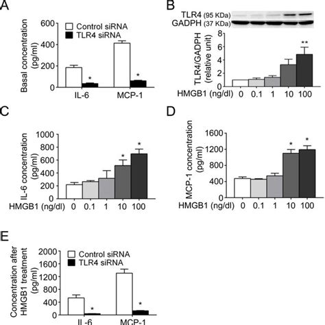 Tlr4 Mediates Cytokine Production In Hasmcs A Basal Levels Of Il 6