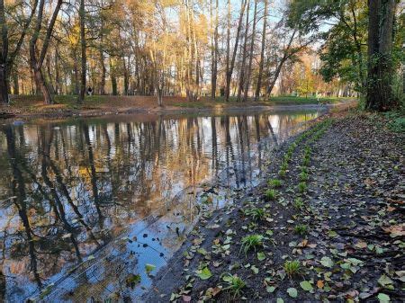 Nowe oblicze stawu w Brwinowie Został oczyszczony i odmulony