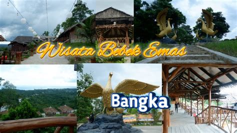 Wisata Baru Bukit Bebek Emas Bangka Tengah YouTube