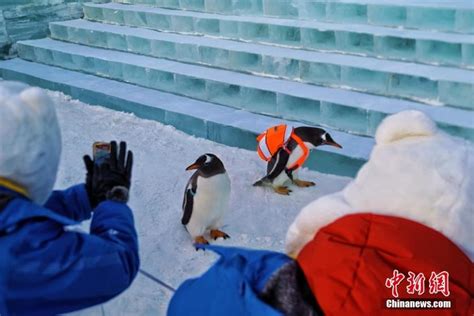 Harbin Ice Snow World Welcomes Visitors On Test Run