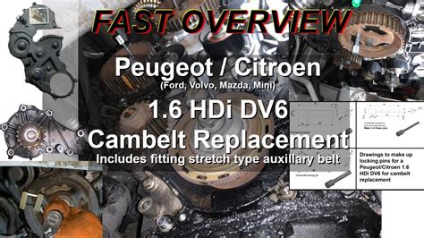 Timing Belt Peugeot Atelier Yuwa Ciao Jp